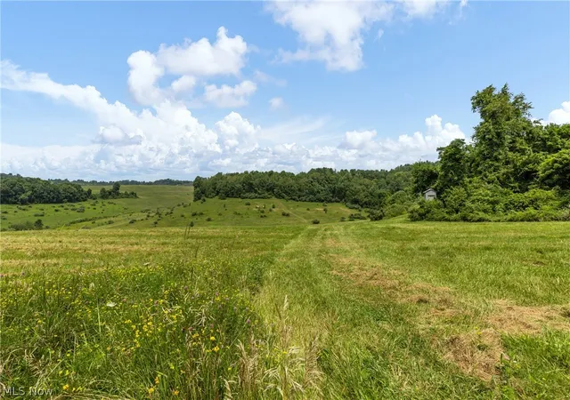 1st image of Pultney Ave, Barnesville, OH 43713 | MLS# 5231177
