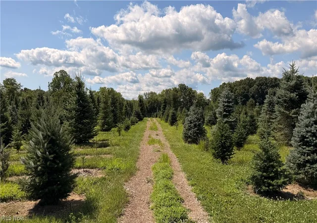 3rd image of 5620 Streeter Rd, Mantua, OH 44255 | MLS# 5231646