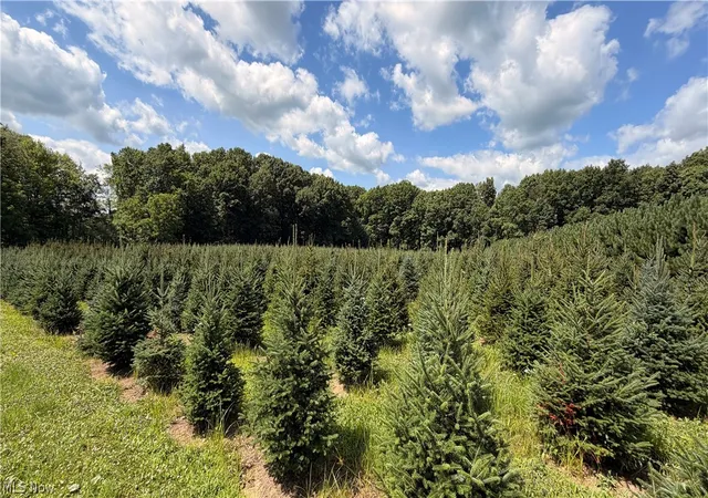 5th image of 5620 Streeter Rd, Mantua, OH 44255 | MLS# 5231646