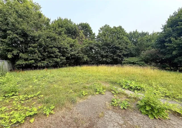14th image of 4109 E 106th St, Cleveland, OH 44105 | MLS# 5231980