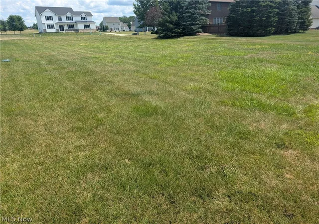 Photo 3 of Land for sale at 549 William St, La Grange, OH 44050 | MLS# 5232101 | Listing updated on 2026-07-30