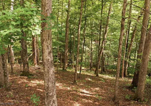 Photo 3 of Land for sale at 0 Crestwood Ct, Belpre, OH 45714 | MLS# 5232110 | Listing updated on 2026-08-18