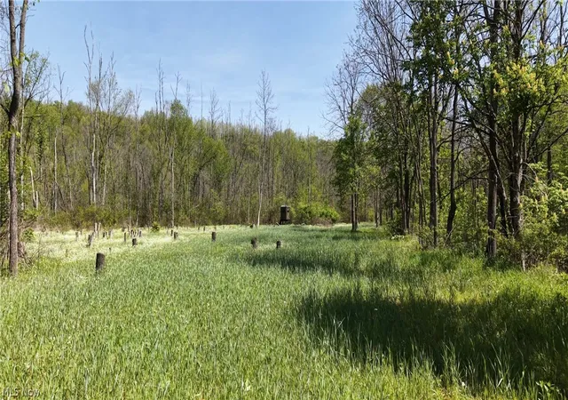 4th image of 35620 Egypt North Rd, Barnesville, OH 43713 | MLS# 5232245