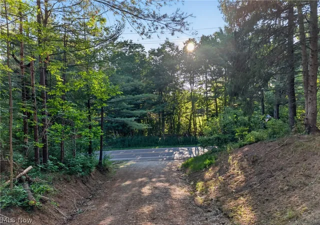 Photo 2 of Land for sale at 14493 Chillicothe Rd, Novelty, OH 44072 | MLS# 5230099 | Listing updated on 2026-08-01