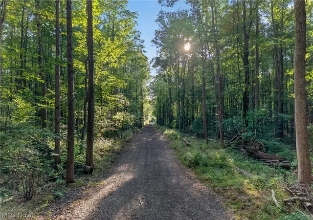 Photo 3 of Land for sale at 14493 Chillicothe Rd, Novelty, OH 44072 | MLS# 5230099 | Listing updated on 2026-08-01