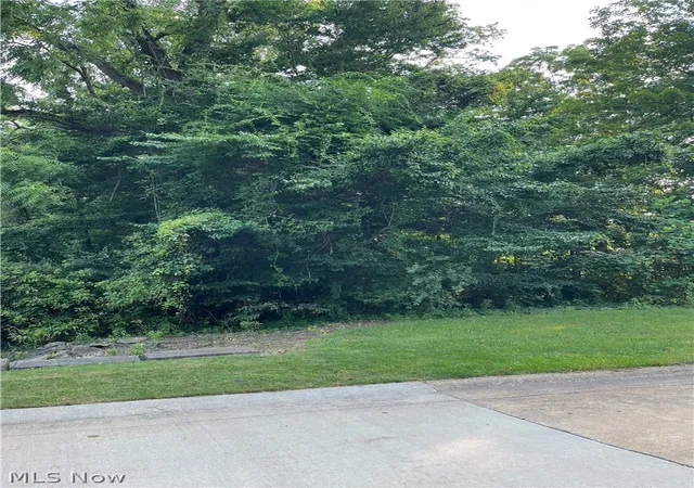 Photo 5 of Land for sale at 35 Stony Brk Ln, Wakeman, OH 44889 | MLS# 5232264 | Listing updated on 2026-08-01