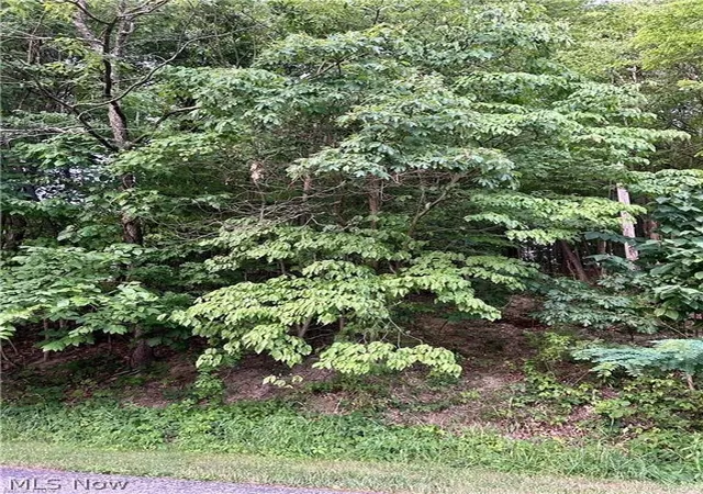 Photo 2 of Land for sale at 91 Oneida Trl, Malvern, OH 44644 | MLS# 5233174 | Listing updated on 2026-08-03