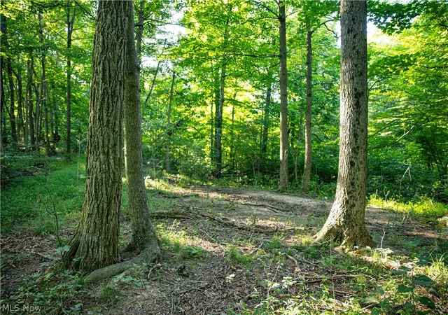 Photo 3 of Land for sale at 52982 Wegee Rd #1, Shadyside, OH 43947 | MLS# 5232363 | Listing updated on 2026-09-28