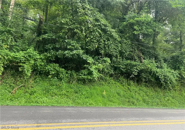 Photo 1 of Land for sale at Country Clb Rd, Cadiz, OH 43907 | MLS# 5233481 | Listing updated on 2026-08-04