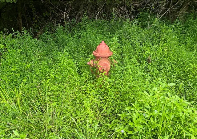 Photo 3 of Land for sale at Country Clb Rd, Cadiz, OH 43907 | MLS# 5233481 | Listing updated on 2026-08-04