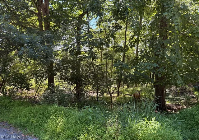 Photo 1 of Land for sale at Lot 1623 Comanche Trl, Malvern, OH 44644 | MLS# 5233517 | Listing updated on 2026-08-04