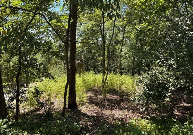 Photo 2 of Land for sale at Lot 1623 Comanche Trl, Malvern, OH 44644 | MLS# 5233517 | Listing updated on 2026-08-04