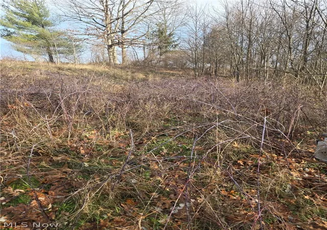 Photo 1 of Land for sale at 9284 Briar Rd, Magnolia, OH 44643 | MLS# 5233584 | Listing updated on 2026-08-04
