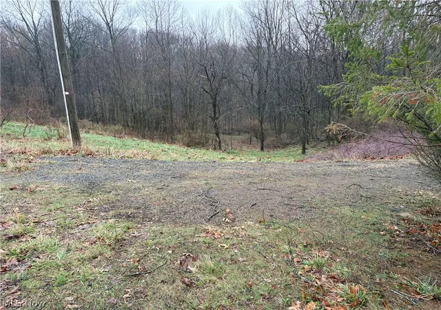 Photo 3 of Land for sale at 9284 Briar Rd, Magnolia, OH 44643 | MLS# 5233584 | Listing updated on 2026-08-04