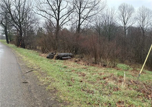 Photo 4 of Land for sale at 9284 Briar Rd, Magnolia, OH 44643 | MLS# 5233584 | Listing updated on 2026-08-04