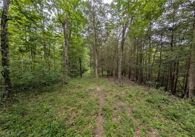 Photo 3 of Sale Pending at County Rd 36, Bloomingdale, OH 43910 | MLS# 5227678 | Listing updated on 2026-10-01
