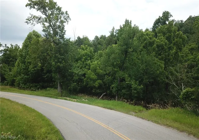 Photo 3 of Sale Pending at County Rd 36, Bloomingdale, OH 43910 | MLS# 5227678 | Listing updated on 2026-10-01