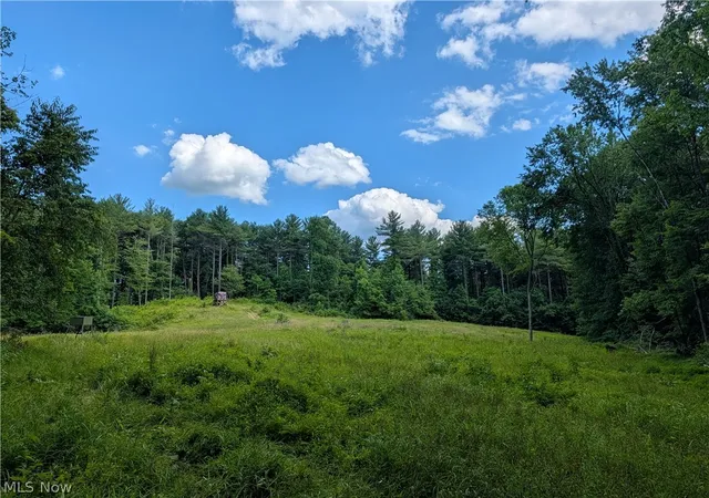 Photo 1 of Land for sale at State Route 26, Beallsville, OH 43716 | MLS# 5227667 | Listing updated on 2026-08-05