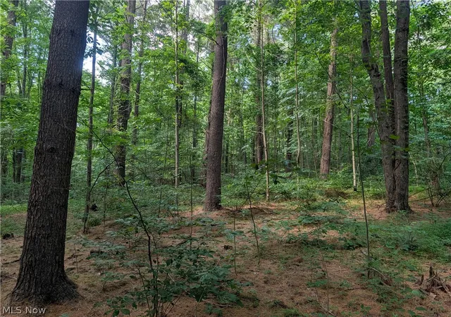 Photo 2 of Land for sale at State Route 26, Beallsville, OH 43716 | MLS# 5227667 | Listing updated on 2026-08-05