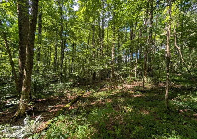Photo 3 of Land for sale at State Route 26, Beallsville, OH 43716 | MLS# 5227667 | Listing updated on 2026-08-05