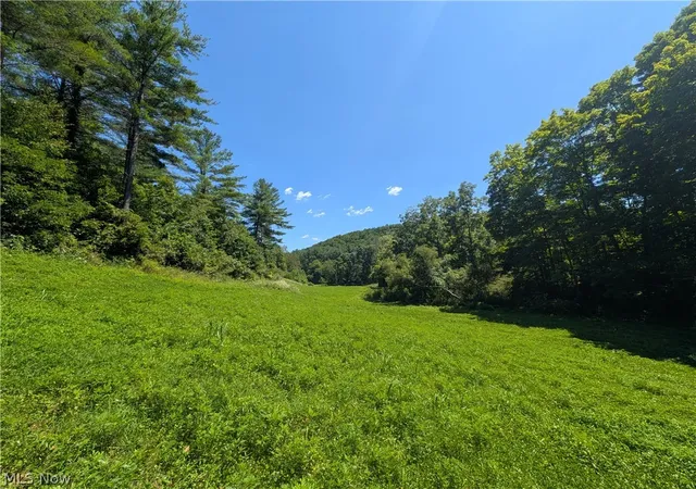 Photo 3 of Land for sale at 50316 State Route 26, Beallsville, OH 43716 | MLS# 5233422 | Listing updated on 2026-08-05