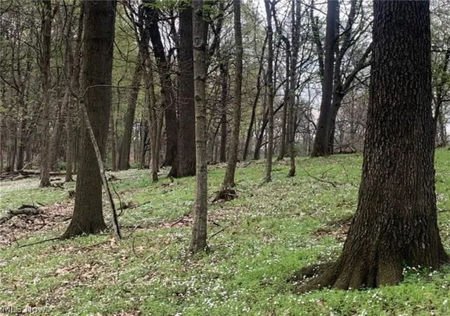 Photo 2 of Sale Pending at Bill Smith, Wellsville, OH 43968 | MLS# 5233938 | Listing updated on 2026-08-27