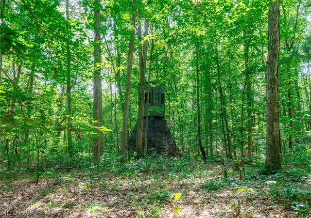 Photo 1 of Land for sale at Lincoln St, Salineville, OH 43945 | MLS# 5233930 | Listing updated on 2026-08-05