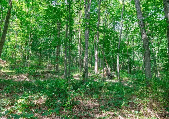 Photo 2 of Land for sale at Lincoln St, Salineville, OH 43945 | MLS# 5233930 | Listing updated on 2026-08-05