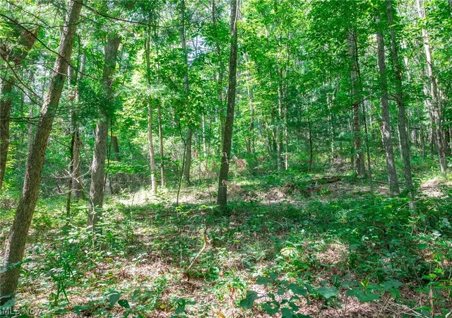 Photo 3 of Land for sale at Lincoln St, Salineville, OH 43945 | MLS# 5233930 | Listing updated on 2026-08-05