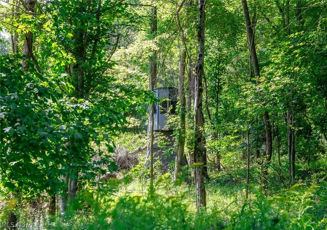 Photo 4 of Land for sale at Lincoln St, Salineville, OH 43945 | MLS# 5233930 | Listing updated on 2026-08-05