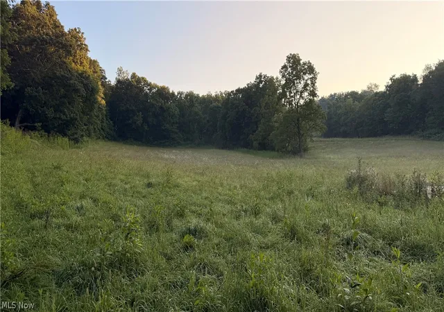 Photo 1 of Land for sale at Co Rd 2575, Loudonville, OH 44842 | MLS# 5234243 | Listing updated on 2026-09-30