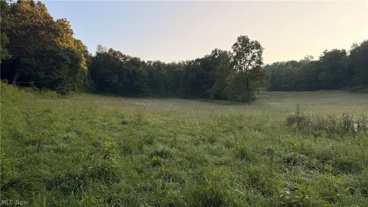 Photo 1 of Land for sale at Co Rd 2575, Loudonville, OH 44842 | MLS# 5234243 | Listing updated on 2026-10-20