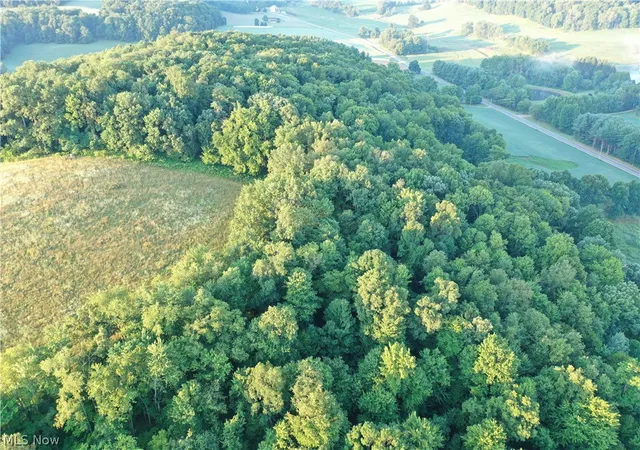 Photo 3 of Land for sale at Co Rd 2575, Loudonville, OH 44842 | MLS# 5234243 | Listing updated on 2026-09-30
