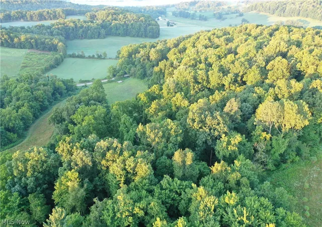 Photo 4 of Land for sale at Co Rd 2575, Loudonville, OH 44842 | MLS# 5234243 | Listing updated on 2026-09-30