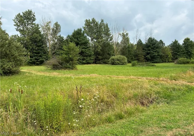 Photo 1 of Land for sale at Pleasant Home Rd, Marshallville, OH 44645 | MLS# 5234135 | Listing updated on 2026-10-03