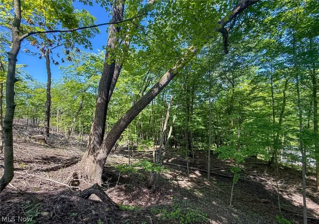 Photo 1 of Land for sale at Lot 1 Altamont Rd, Mingo Junction, OH 43938 | MLS# 5234575 | Listing updated on 2026-08-06