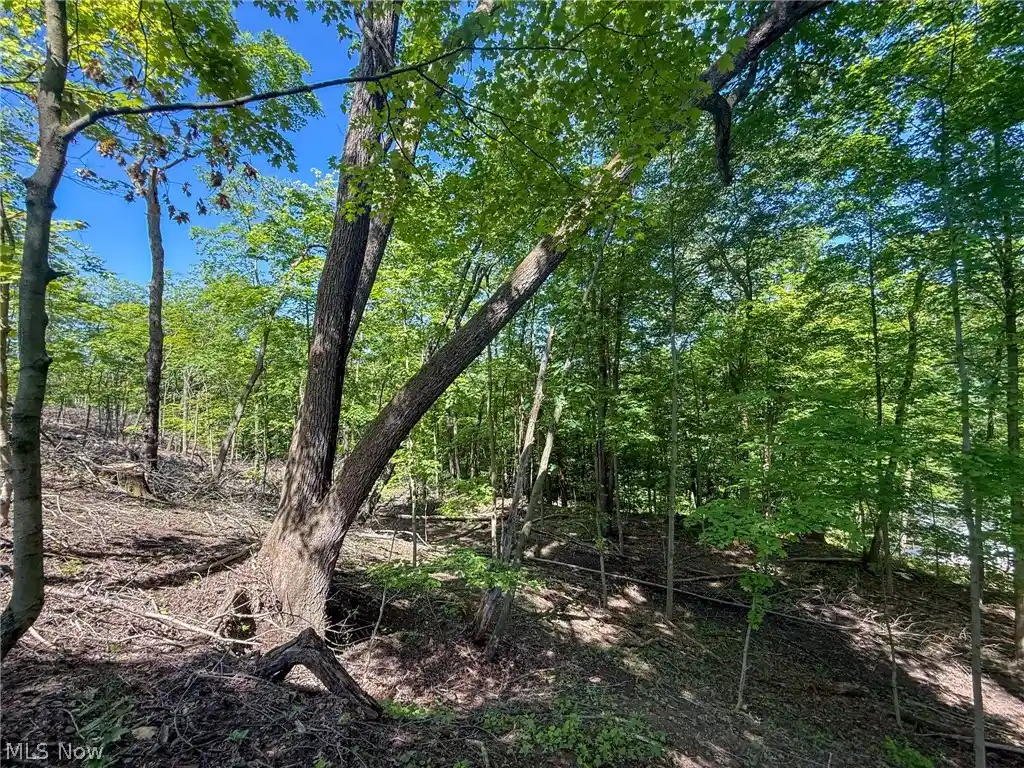 Photo 1 of Sale Pending at Lot 1 Altamont Rd, Mingo Junction, OH 43938 | MLS# 5234575 | Listing updated on 2026-10-19