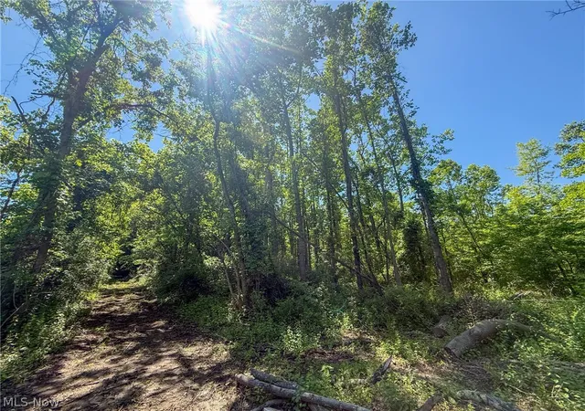 Photo 3 of Land for sale at Lot 1 Altamont Rd, Mingo Junction, OH 43938 | MLS# 5234575 | Listing updated on 2026-08-06