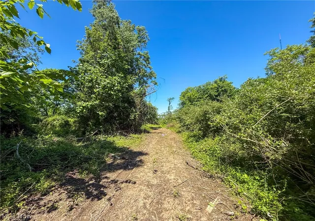 Photo 3 of House for sale at Lot 1 Altamont Rd, Mingo Junction, OH 43938 | MLS# 5234575 | Listing updated on 2026-08-06
