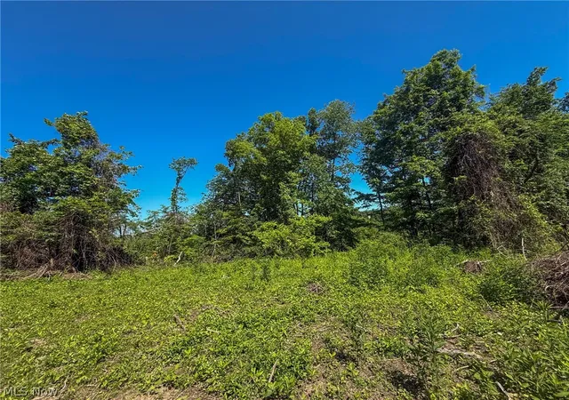 Photo 4 of House for sale at Lot 1 Altamont Rd, Mingo Junction, OH 43938 | MLS# 5234575 | Listing updated on 2026-08-06