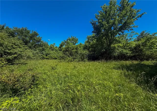 Photo 1 of Land for sale at Lot 2 Altamont Rd, Mingo Junction, OH 43938 | MLS# 5234579 | Listing updated on 2026-08-06