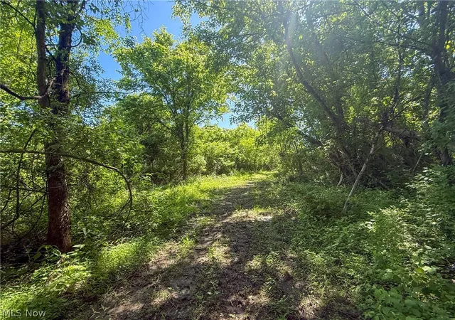 Photo 3 of Land for sale at Lot 2 Altamont Rd, Mingo Junction, OH 43938 | MLS# 5234579 | Listing updated on 2026-08-06