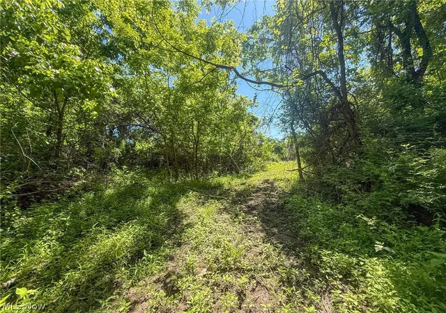 Photo 3 of House for sale at Lot 2 Altamont Rd, Mingo Junction, OH 43938 | MLS# 5234579 | Listing updated on 2026-08-06
