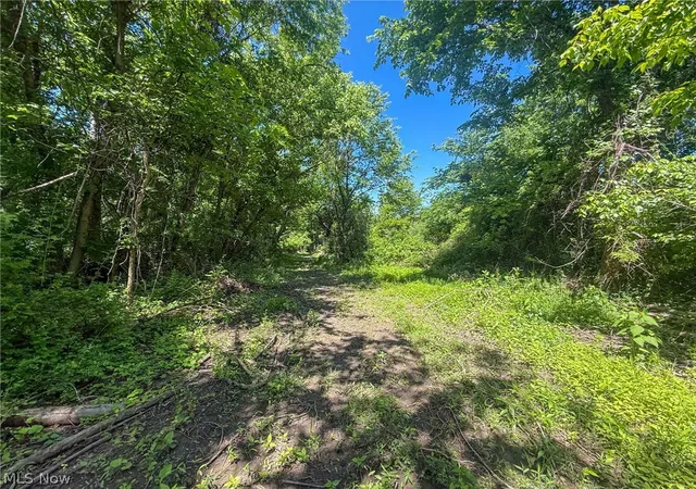 Photo 4 of House for sale at Lot 2 Altamont Rd, Mingo Junction, OH 43938 | MLS# 5234579 | Listing updated on 2026-08-06