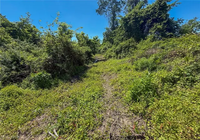 Photo 3 of Land for sale at Lot 3 Altamont Rd, Mingo Junction, OH 43938 | MLS# 5234582 | Listing updated on 2026-08-06