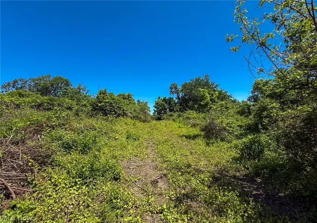 Photo 3 of House for sale at Lot 3 Altamont Rd, Mingo Junction, OH 43938 | MLS# 5234582 | Listing updated on 2026-08-06