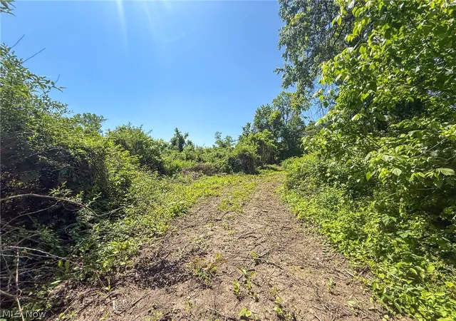Photo 4 of House for sale at Lot 3 Altamont Rd, Mingo Junction, OH 43938 | MLS# 5234582 | Listing updated on 2026-08-06
