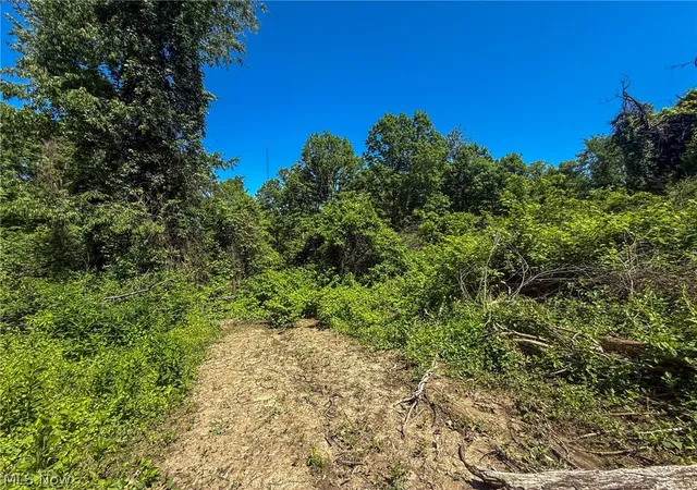 Photo 3 of Land for sale at Lot 4 Altamont Rd, Mingo Junction, OH 43938 | MLS# 5234584 | Listing updated on 2026-08-06