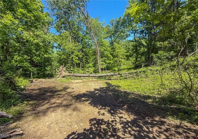 Photo 3 of House for sale at Lot 4 Altamont Rd, Mingo Junction, OH 43938 | MLS# 5234584 | Listing updated on 2026-08-06