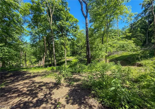 Photo 4 of House for sale at Lot 4 Altamont Rd, Mingo Junction, OH 43938 | MLS# 5234584 | Listing updated on 2026-08-06